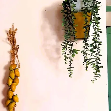 Casa Tilia - A 20' Da Urbino * Montecalvo in Foglia